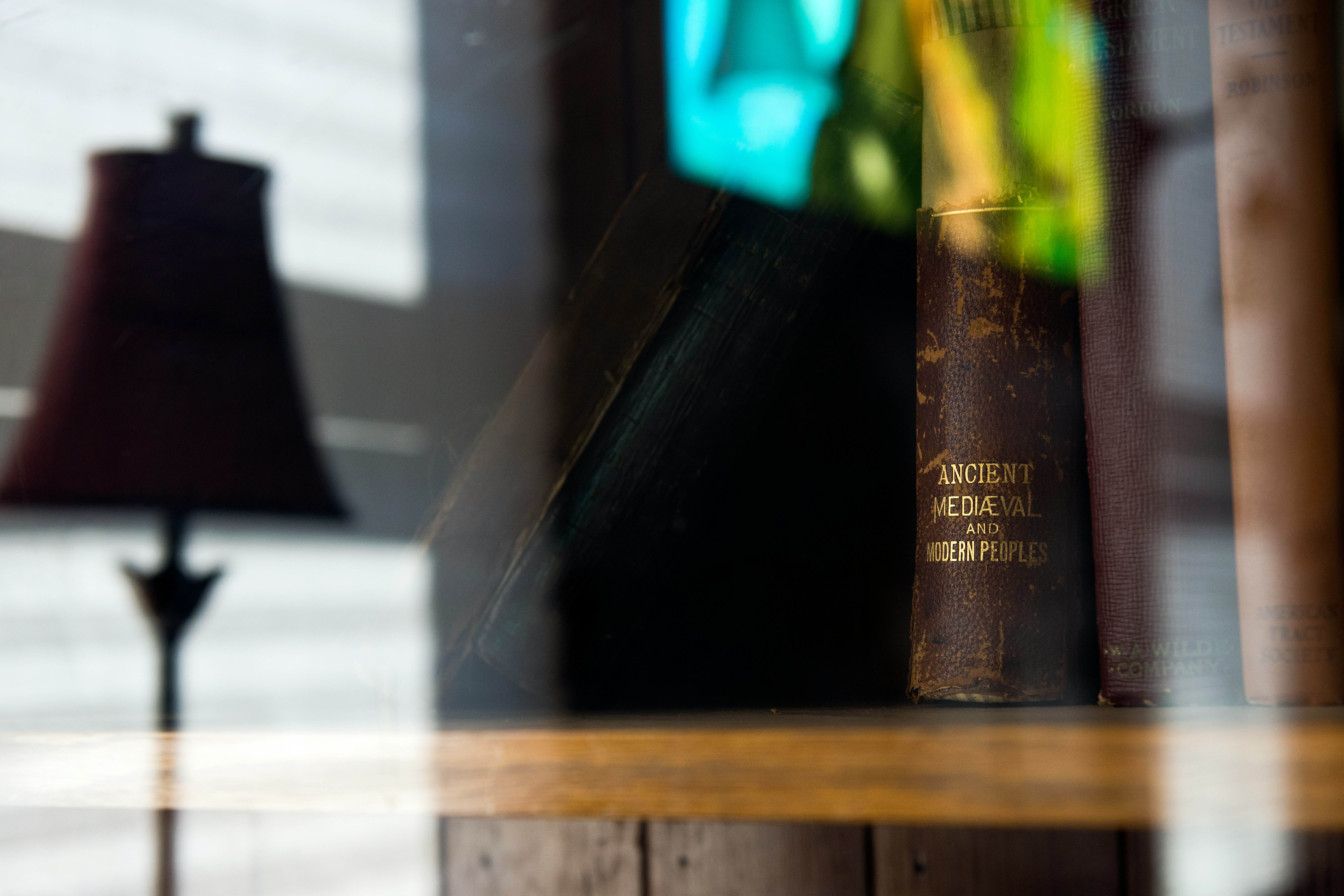 brown Ancient Medieval and Modern People book on shelf